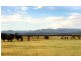 5 Queen Elizabeth ll Avenue, Narrabri NSW 2390