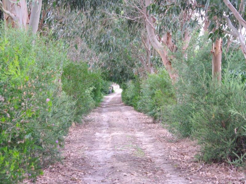 175 Shellcott Road, Yanakie VIC 3960