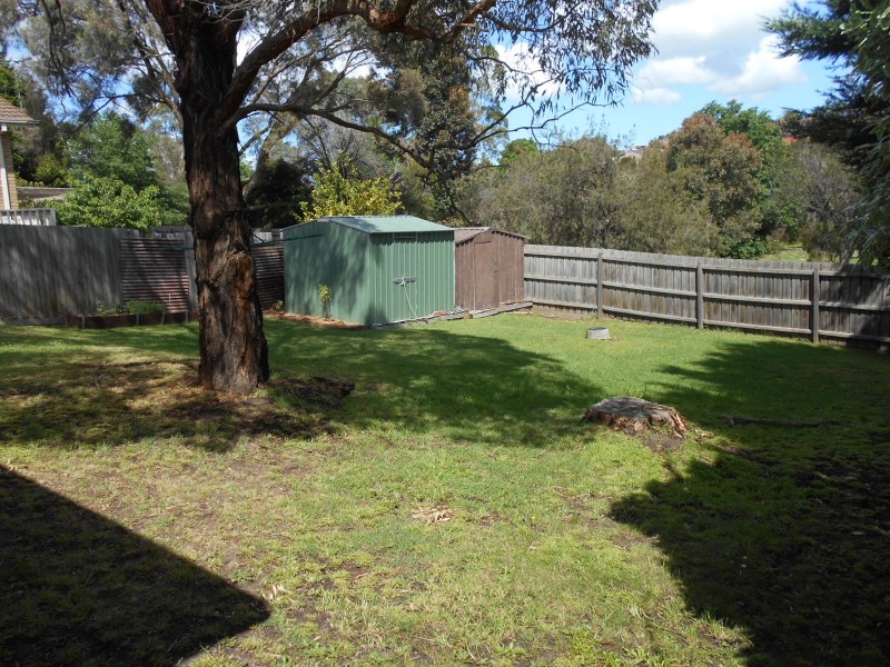 41 SYDNEY PARKINSON AVENUE, Endeavour Hills VIC 3802