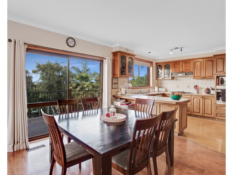 16 BRANDON COURT, Endeavour Hills VIC 3802