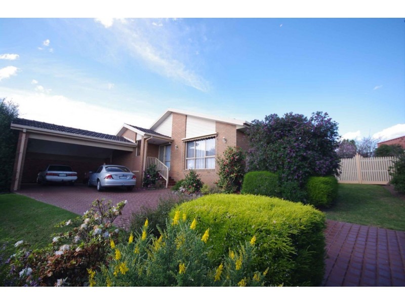 16 Preston Avenue, Endeavour Hills VIC 3802