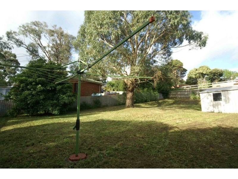 19 Essex Park Drive, Endeavour Hills VIC 3802