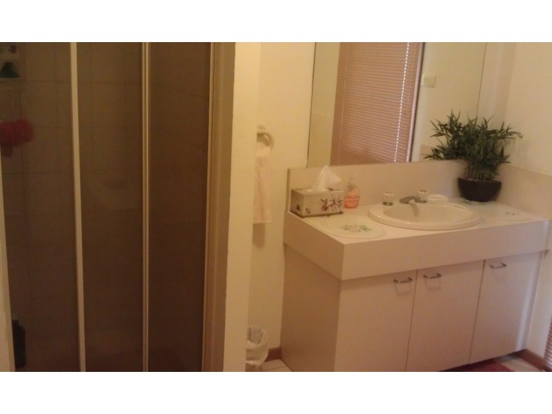 53 DAVID COLLINS DRIVE, Endeavour Hills VIC 3802