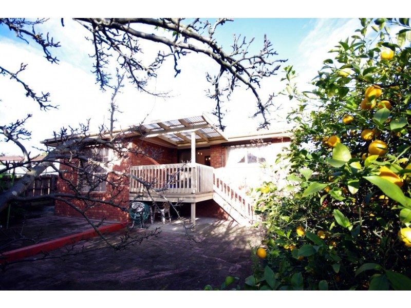 3 Belt Terrace, Endeavour Hills VIC 3802