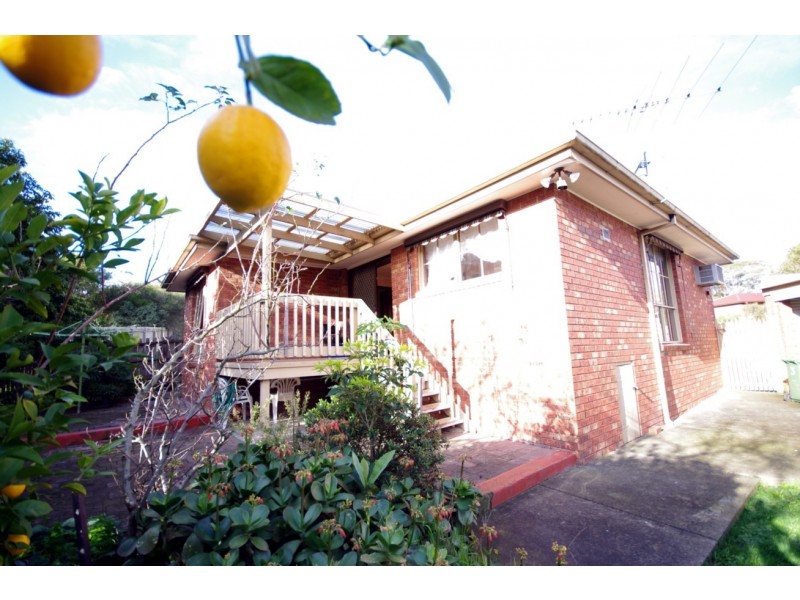 3 Belt Terrace, Endeavour Hills VIC 3802