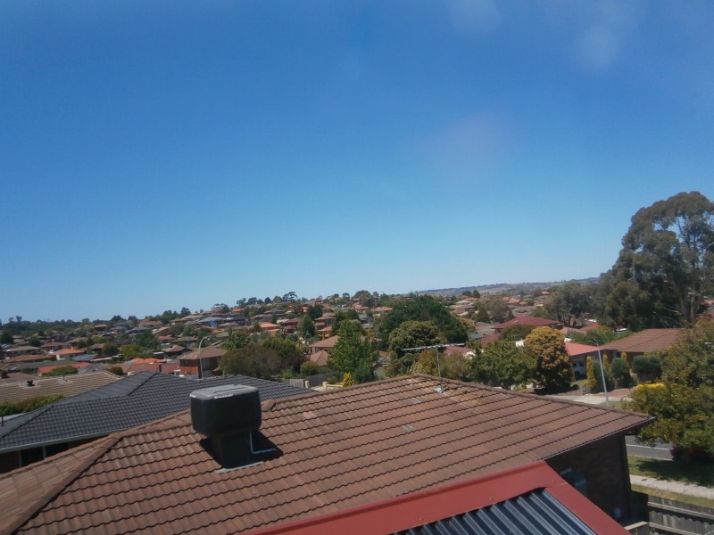 29 THOMAS MITCHELL DRIVE, Endeavour Hills VIC 3802