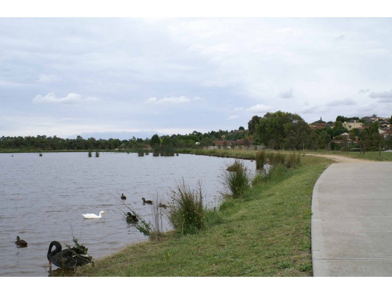 Endeavour Hills VIC 3802