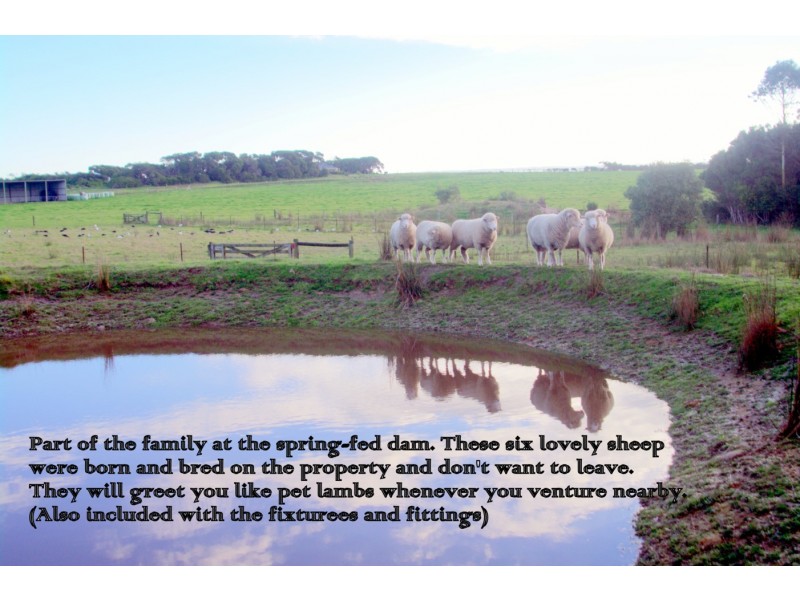 75 Shellcott Road, Yanakie VIC 3960