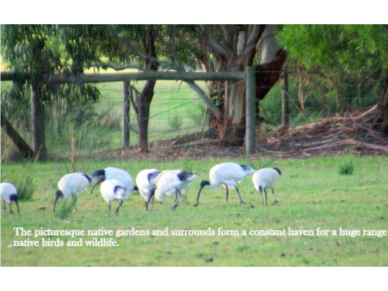 75 Shellcott Road, Yanakie VIC 3960