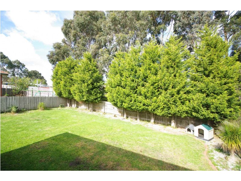 6 Pinto Close, Endeavour Hills VIC 3802