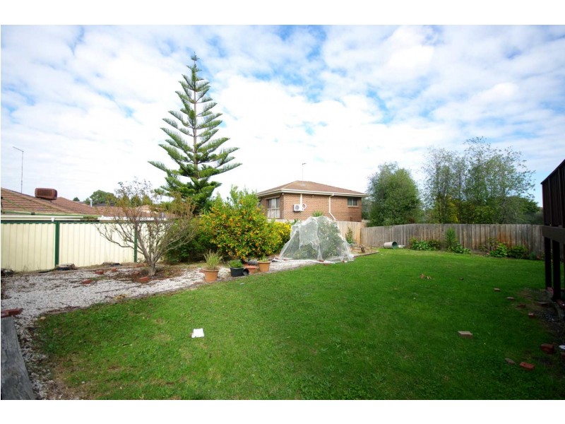 11 Armiston Court, Endeavour Hills VIC 3802