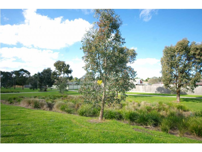 41 Barrier Reef Circuit, Endeavour Hills VIC 3802