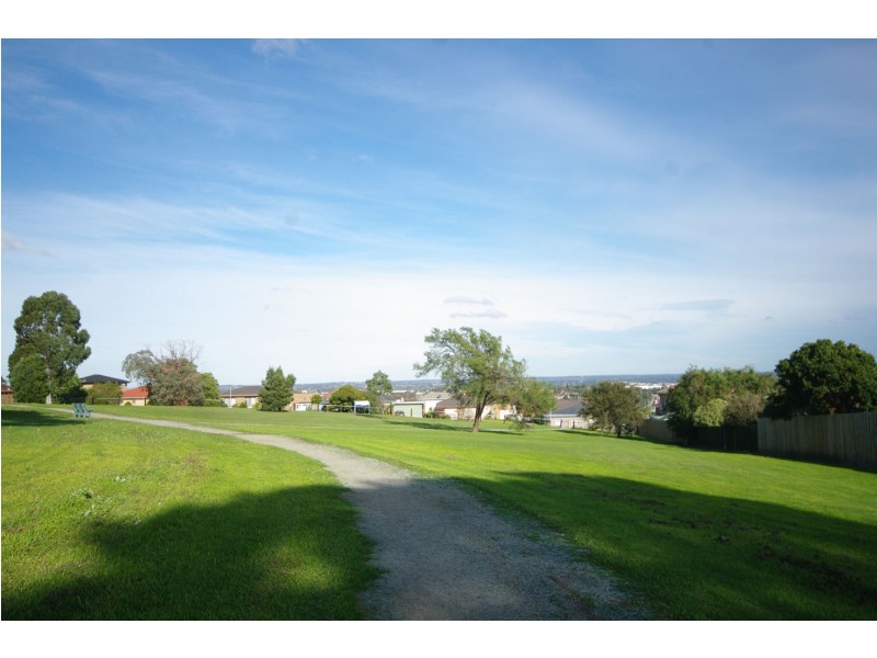 13 Daffodil Court, Endeavour Hills VIC 3802