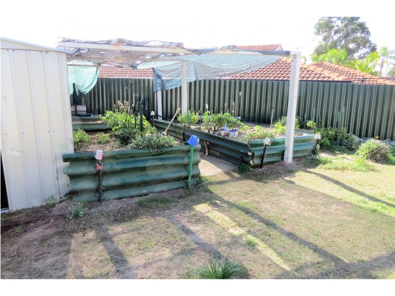 7 Dolton Place, Warnbro WA 6169