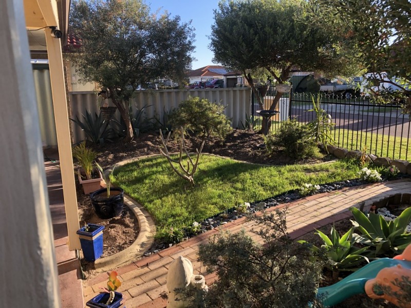 6 Lois Lane, Warnbro WA 6169