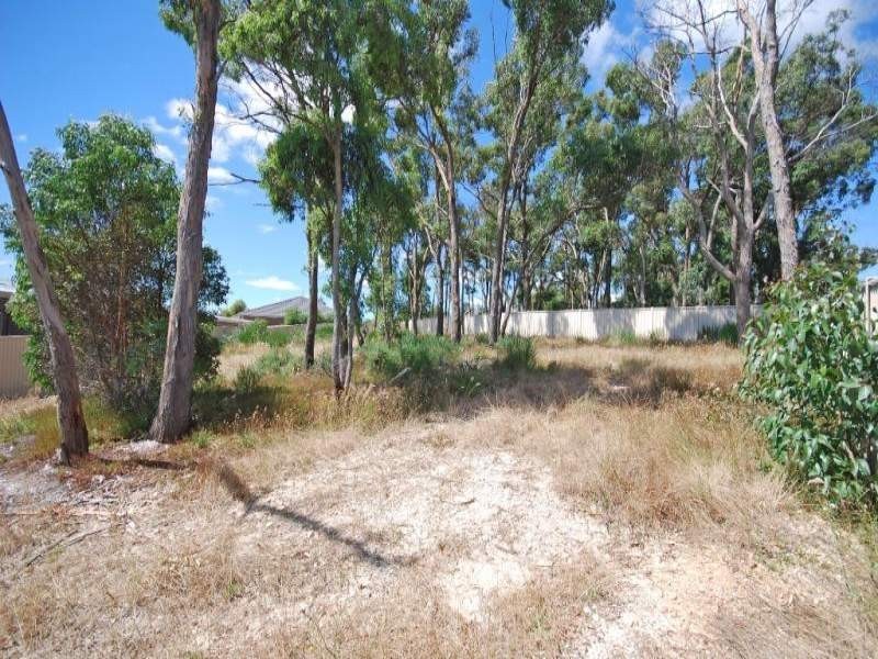 10 Imperial Way, Canadian VIC 3350