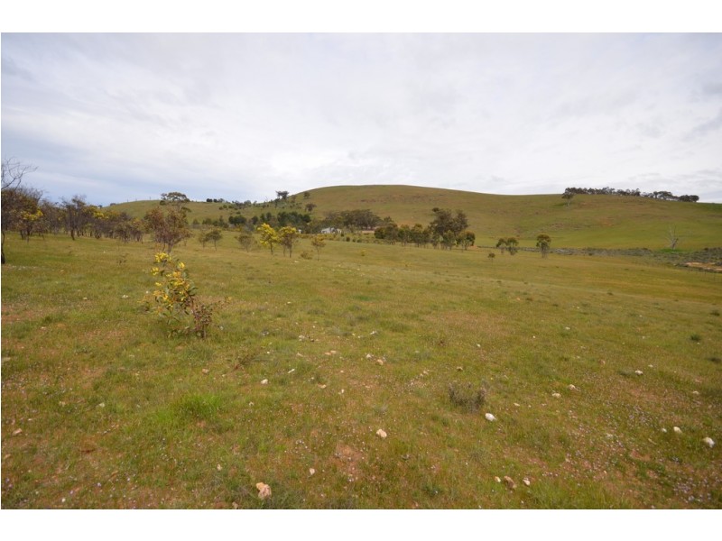 25C Rifle Butts Road, Landsborough VIC 3384