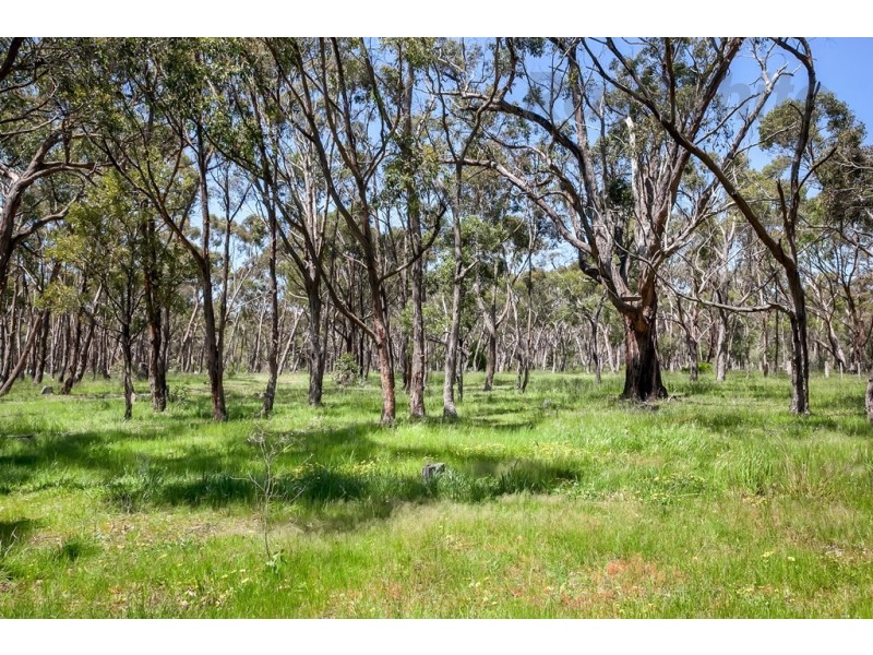 168 Mount Doran Road, Elaine VIC 3334