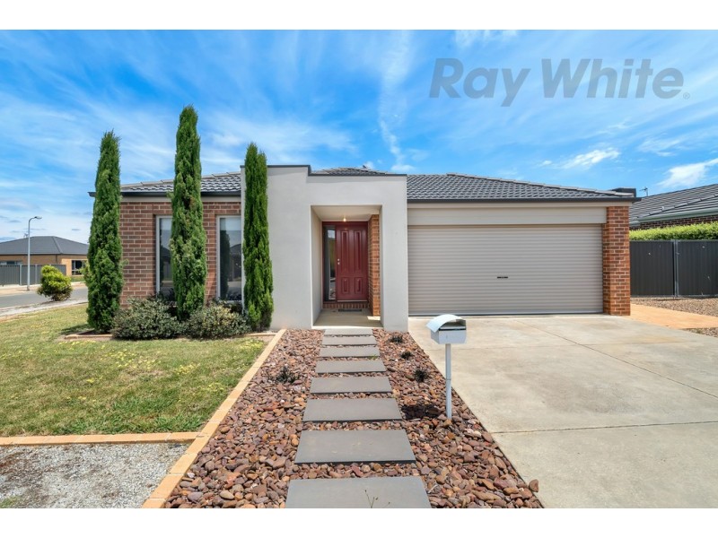 8 Brahman Drive, Delacombe VIC 3356