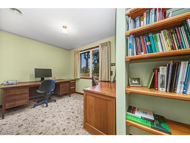 433 Cobden Street, Mount Pleasant VIC 3350