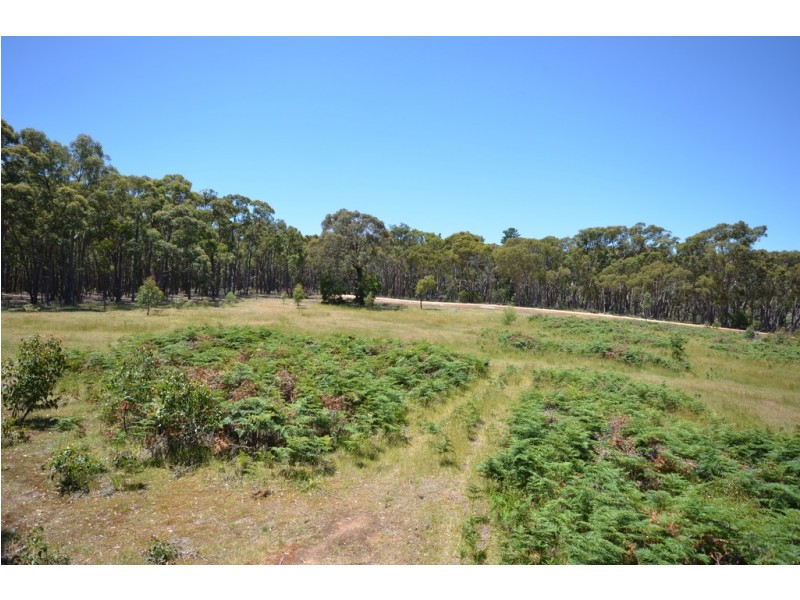 99B Wongerer Lane, Haddon VIC 3351