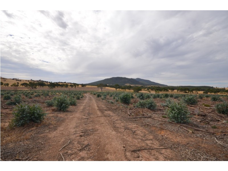 “Joyces” Pope Road, Buangor VIC 3375