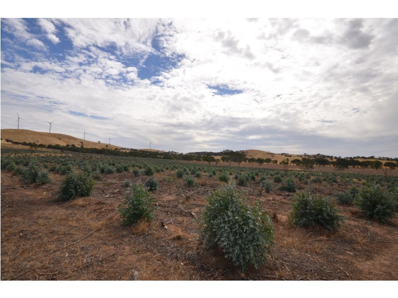 “Joyces” Pope Road, Buangor VIC 3375