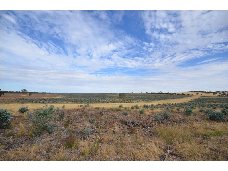 “Joyces” Pope Road, Buangor VIC 3375