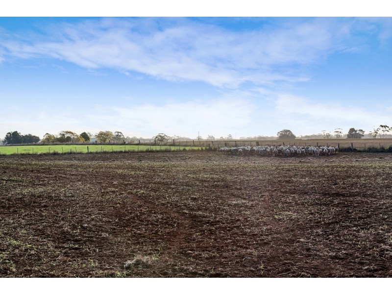 190 Black Swamp Road, Bungaree VIC 3352