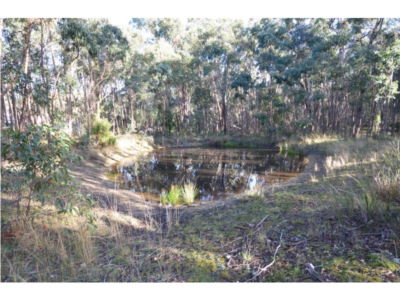 Lot 11 Woodland Drive, Scarsdale VIC 3351