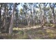 Lot 11 Woodland Drive, Scarsdale VIC 3351
