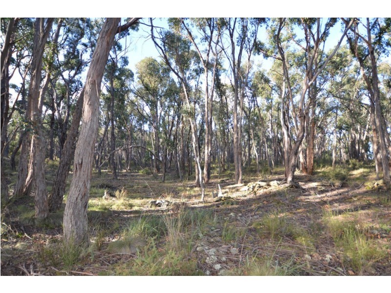 Lot 11 Woodland Drive, Scarsdale VIC 3351