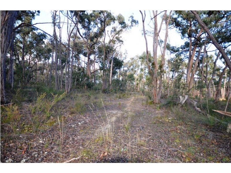 Lot 11 Woodland Drive, Scarsdale VIC 3351