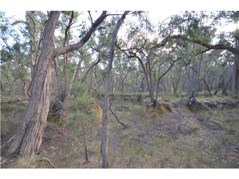 Lot 11 Woodland Drive, Scarsdale VIC 3351