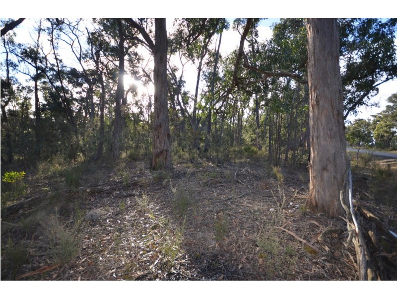 Lot 11 Woodland Drive, Scarsdale VIC 3351