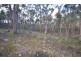 Lot 11 Woodland Drive, Scarsdale VIC 3351