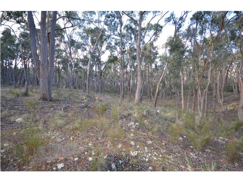 Lot 11 Woodland Drive, Scarsdale VIC 3351