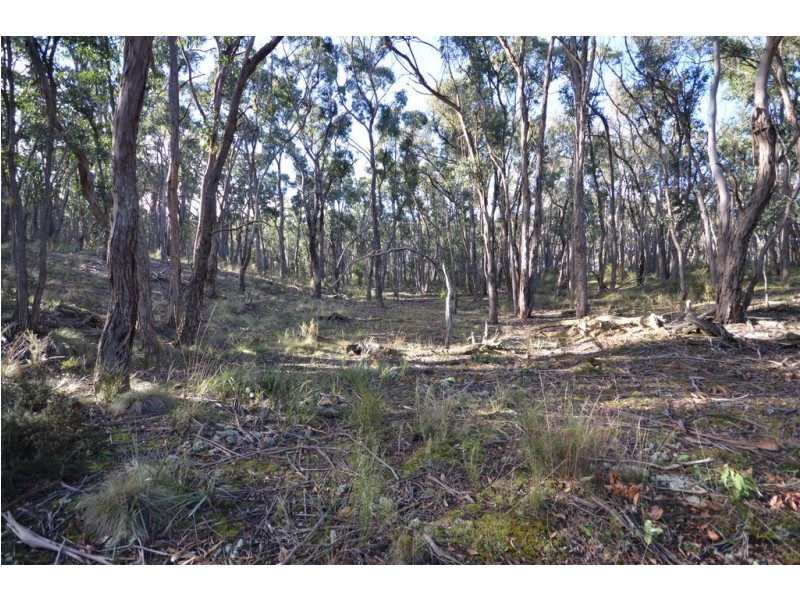 Lot 11 Woodland Drive, Scarsdale VIC 3351