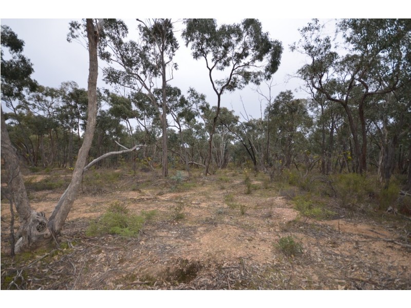 95-113 (Lot 3) Junortoun Road, Junortoun VIC 3551