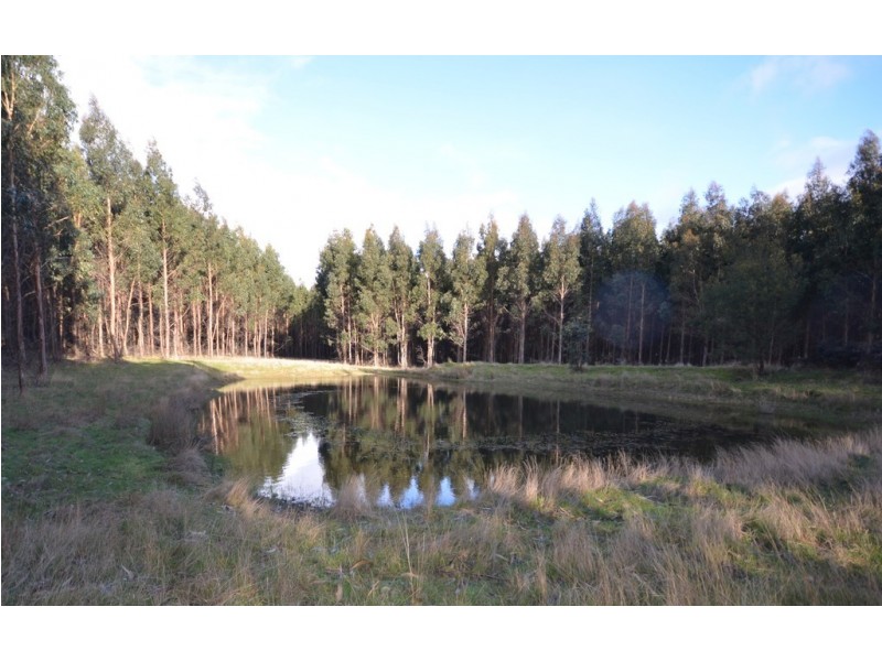 “Crick” Graveyard Hill Road, Raglan VIC 3373