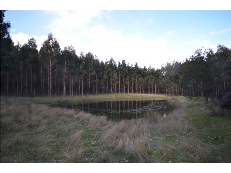 “Crick” Graveyard Hill Road, Raglan VIC 3373