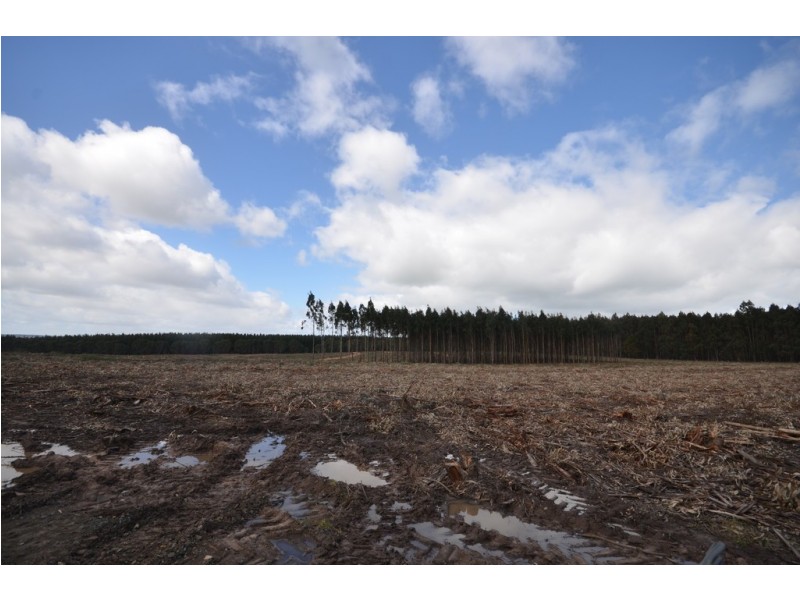 “South” Souths Road, Grenville VIC 3352