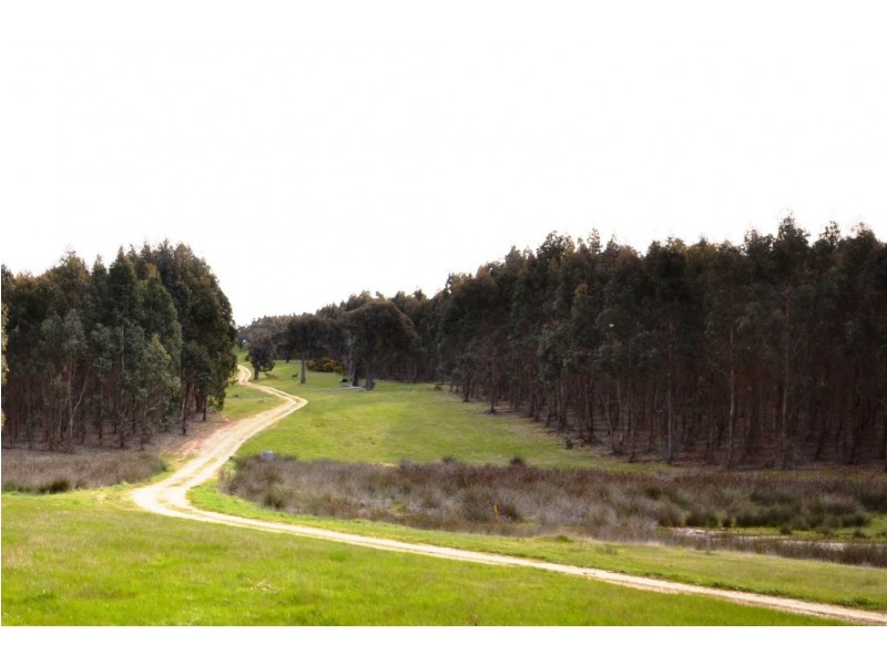 “Dadswell” Buangor – Ben Nevis Road, Warrak VIC 3377