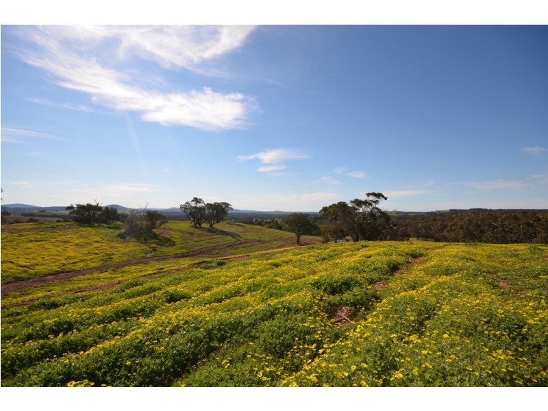 CA 5B and 6B Black Bottom Road, Lexton VIC 3352