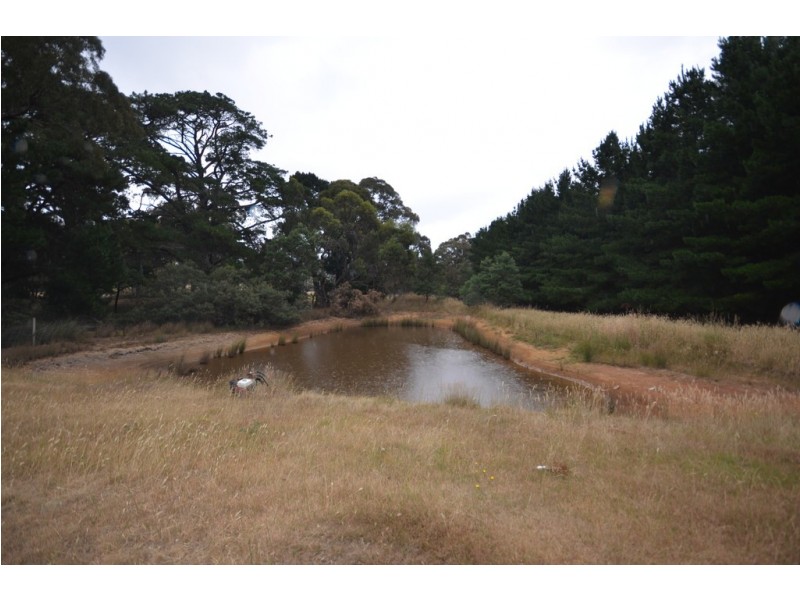 110 Mount Lonarch Road, Mount Lonarch VIC 3468