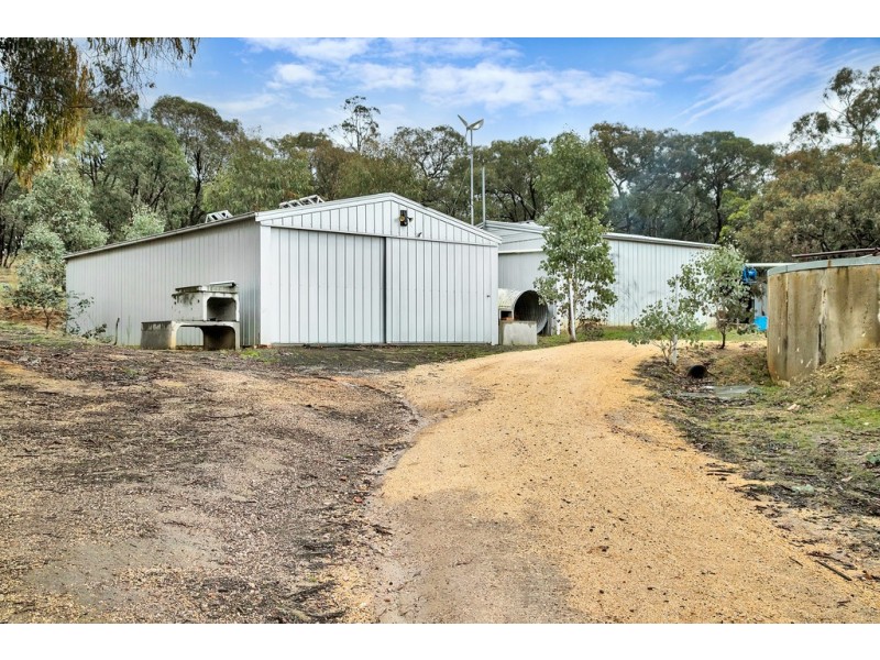 153 Gladstone Street, Lexton VIC 3352