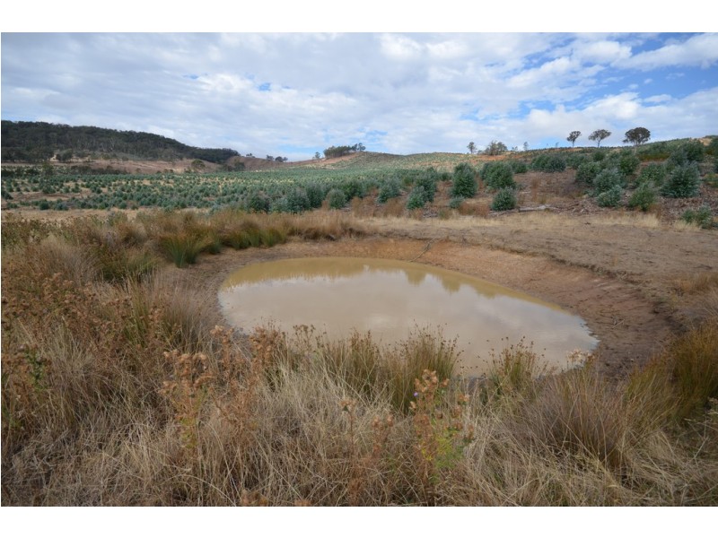 “Cocking West” Mount Lonarch Road, Mount Lonarch VIC 3468