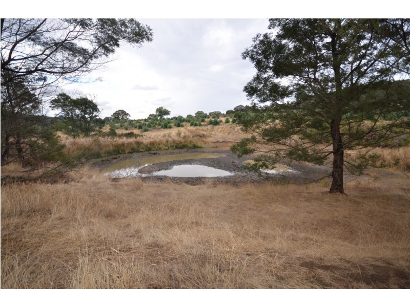 “Cocking West” Mount Lonarch Road, Mount Lonarch VIC 3468