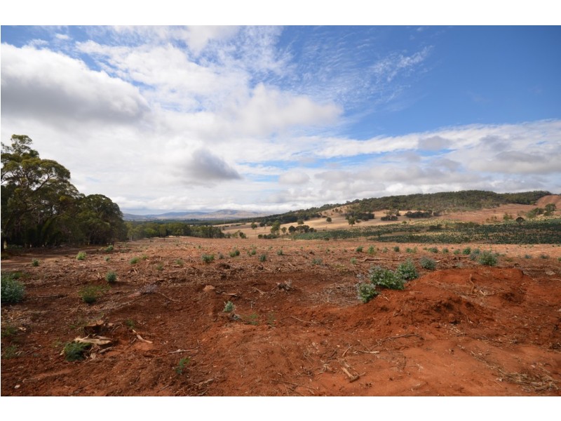 “Cocking West” Mount Lonarch Road, Mount Lonarch VIC 3468