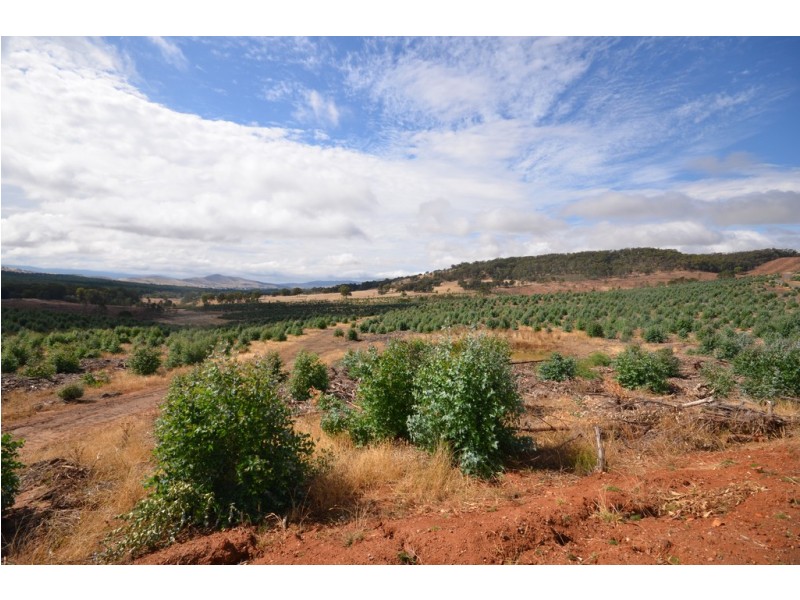 “Cocking West” Mount Lonarch Road, Mount Lonarch VIC 3468